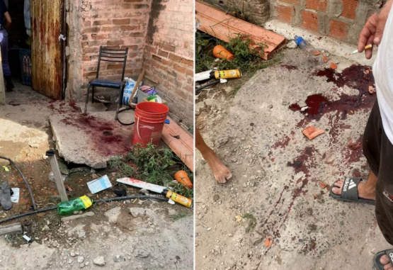 Un jubilado murió tras cortarse con una motosierra mientras podaba un árbol en su casa