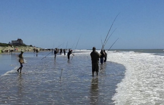 Preparados para vivir la 56ª Fiesta Nacional de la Corvina Rubia