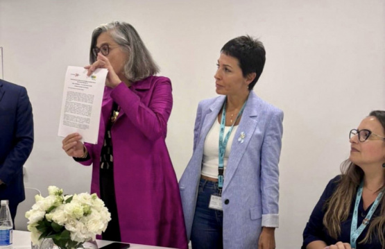Mayra Mendoza busca financiamiento para la obra de la cuenca de los arroyos